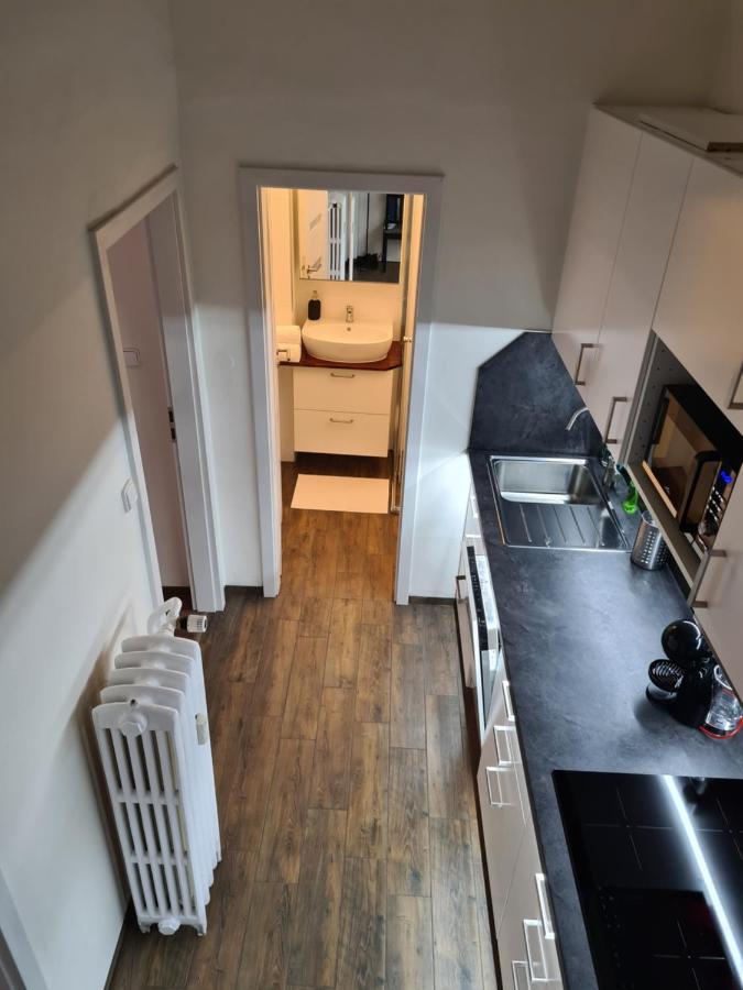 Svetly Prostorny Byt V Karline Appartement Praag
